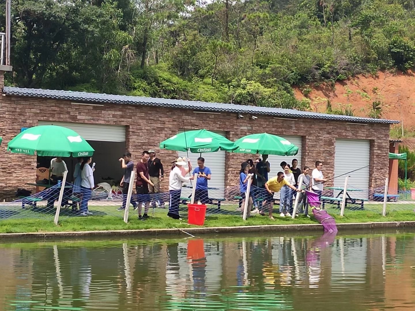 �h(hu��n)�y��8����